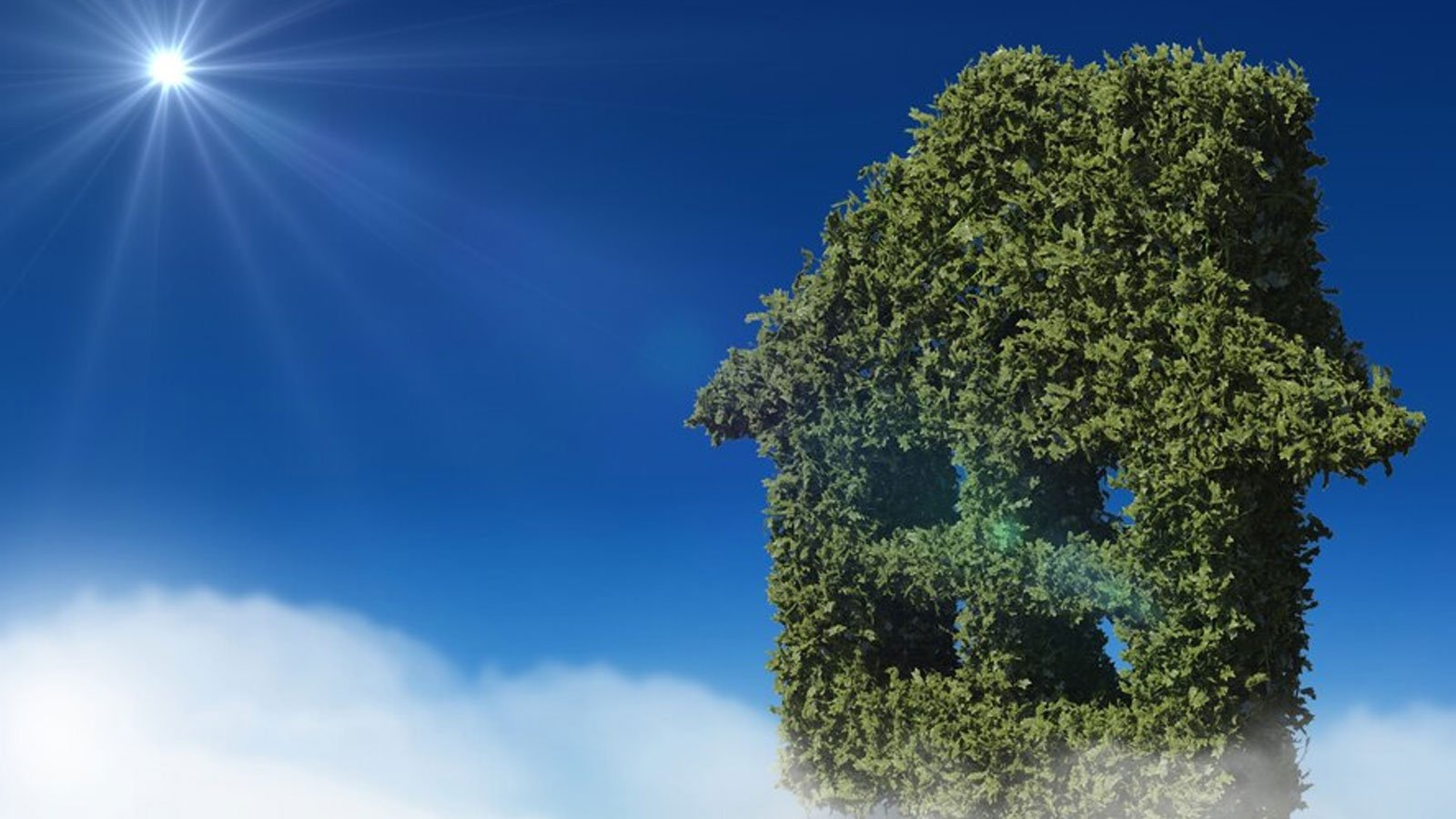 How Home Electrification Helps Save Money and Protect the Planet